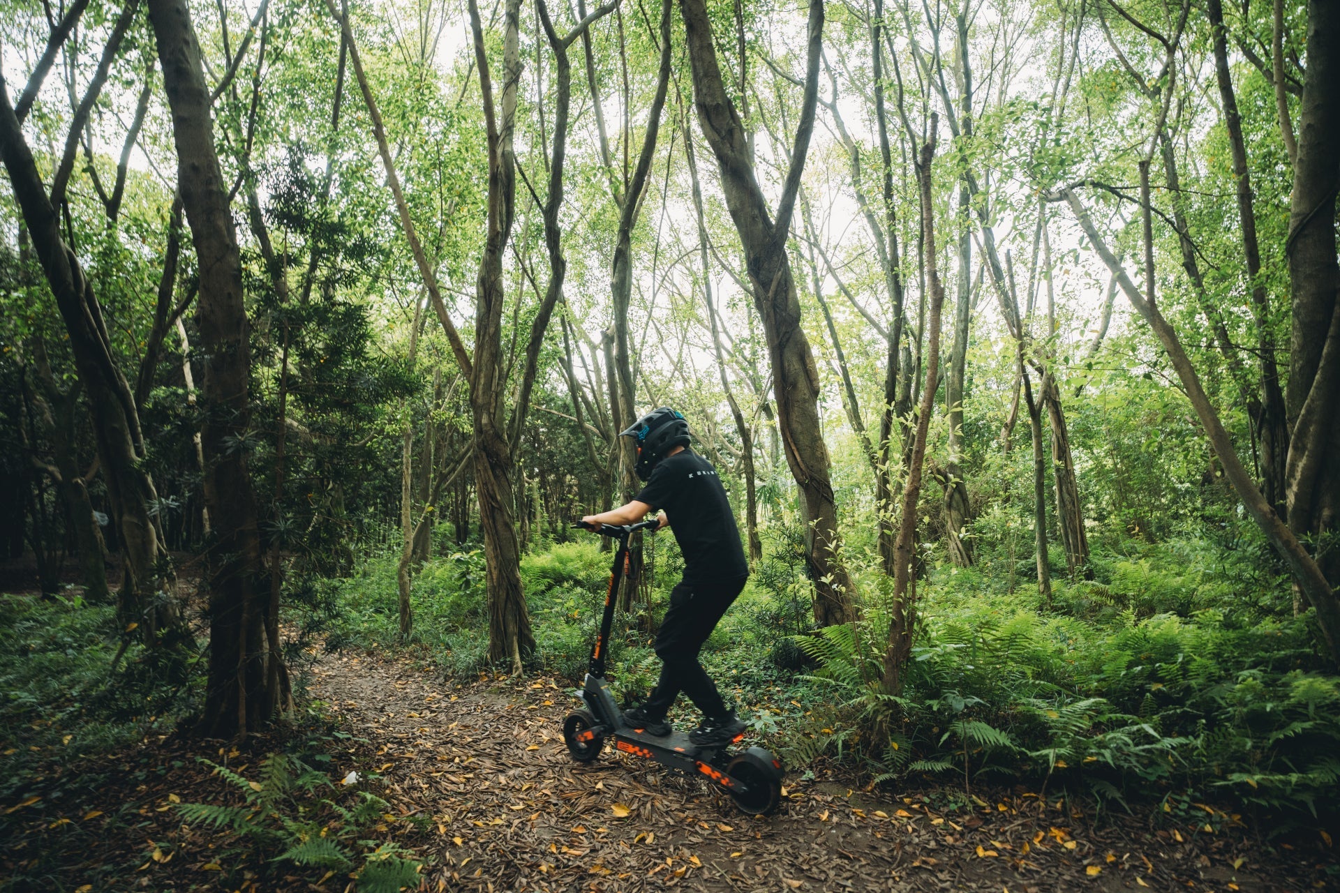 Best Electric Scooters for Adults in 2026: Power, Comfort &amp; Long-Range Freedom